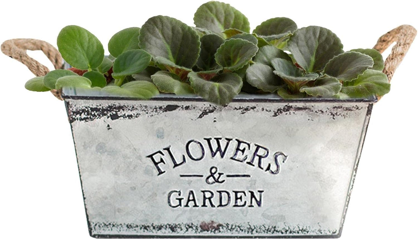 Avelena | Dekorativer Blumen- und Gartenbehälter aus Metall mit Hanfseilgriffen