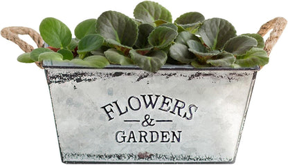 Avelena | Dekorativer Blumen- und Gartenbehälter aus Metall mit Hanfseilgriffen