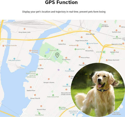 Avelena | Smart GPS-Halsband für Haustiere mit Echtzeit-Tracking, Geo-Zaun-Benachrichtigungen & Schlafmodus für Katzen und Hunde