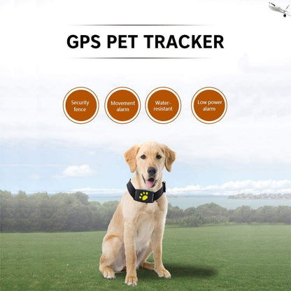 Avelena | Smart GPS-Halsband für Haustiere mit Echtzeit-Tracking, Geo-Zaun-Benachrichtigungen & Schlafmodus für Katzen und Hunde