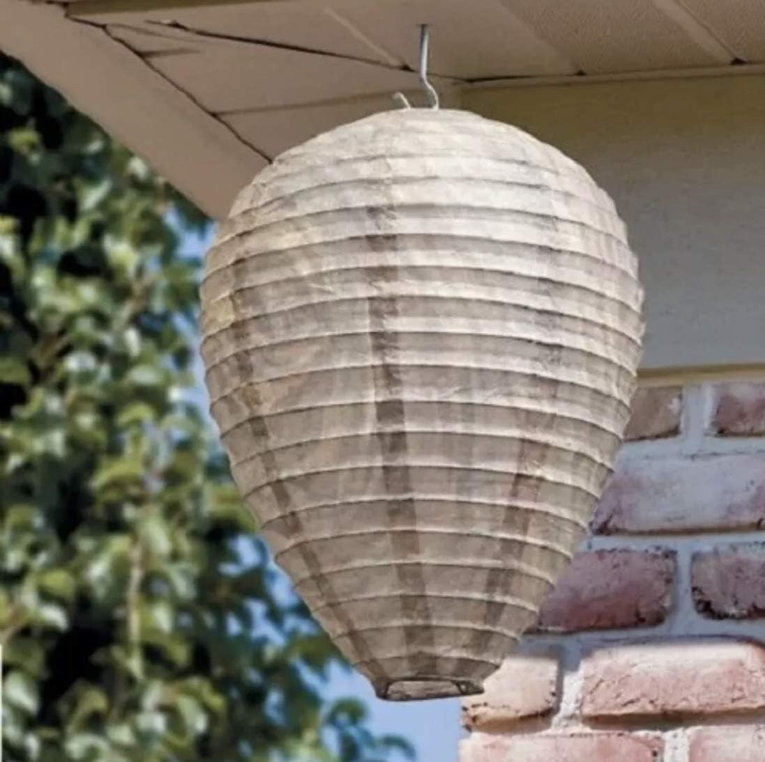 Avelena | Wespennest Abwehr Lampe – Hängendes Schutznetz gegen Wespen und Insekten