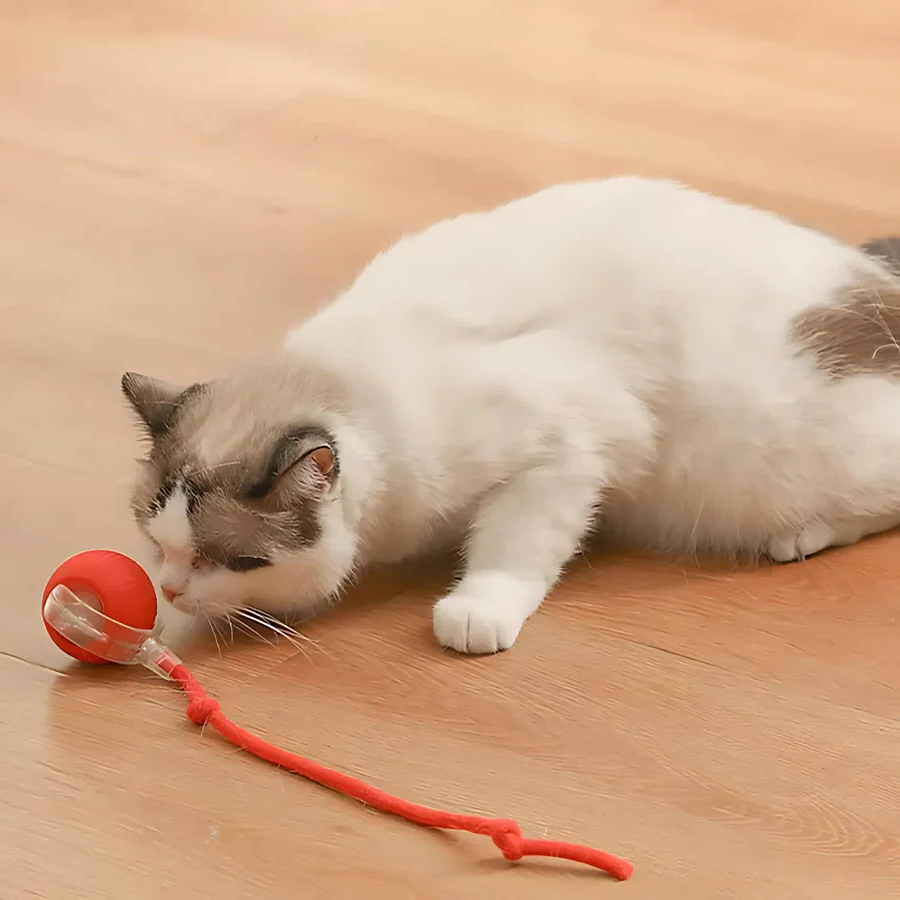 Avelena | Smarte interaktive Haustierballspielzeug