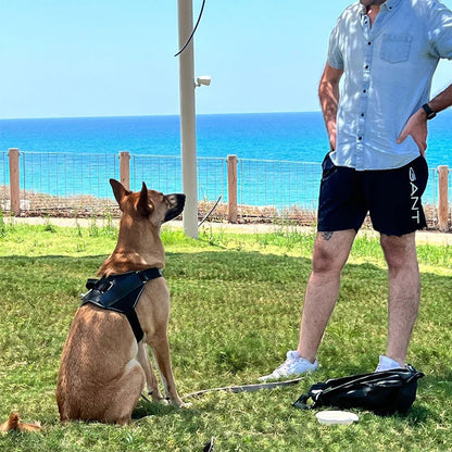 Avelena | Anti-Würgen Hundegeschirr