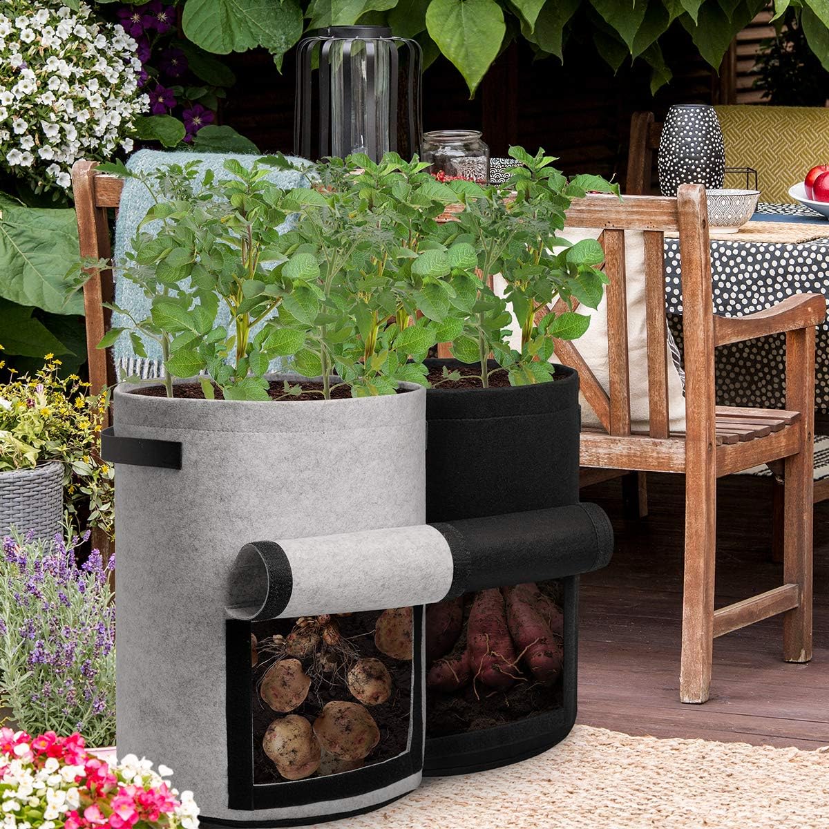 Avelena | EcoPot Stress-Free Pflanzenlösungen