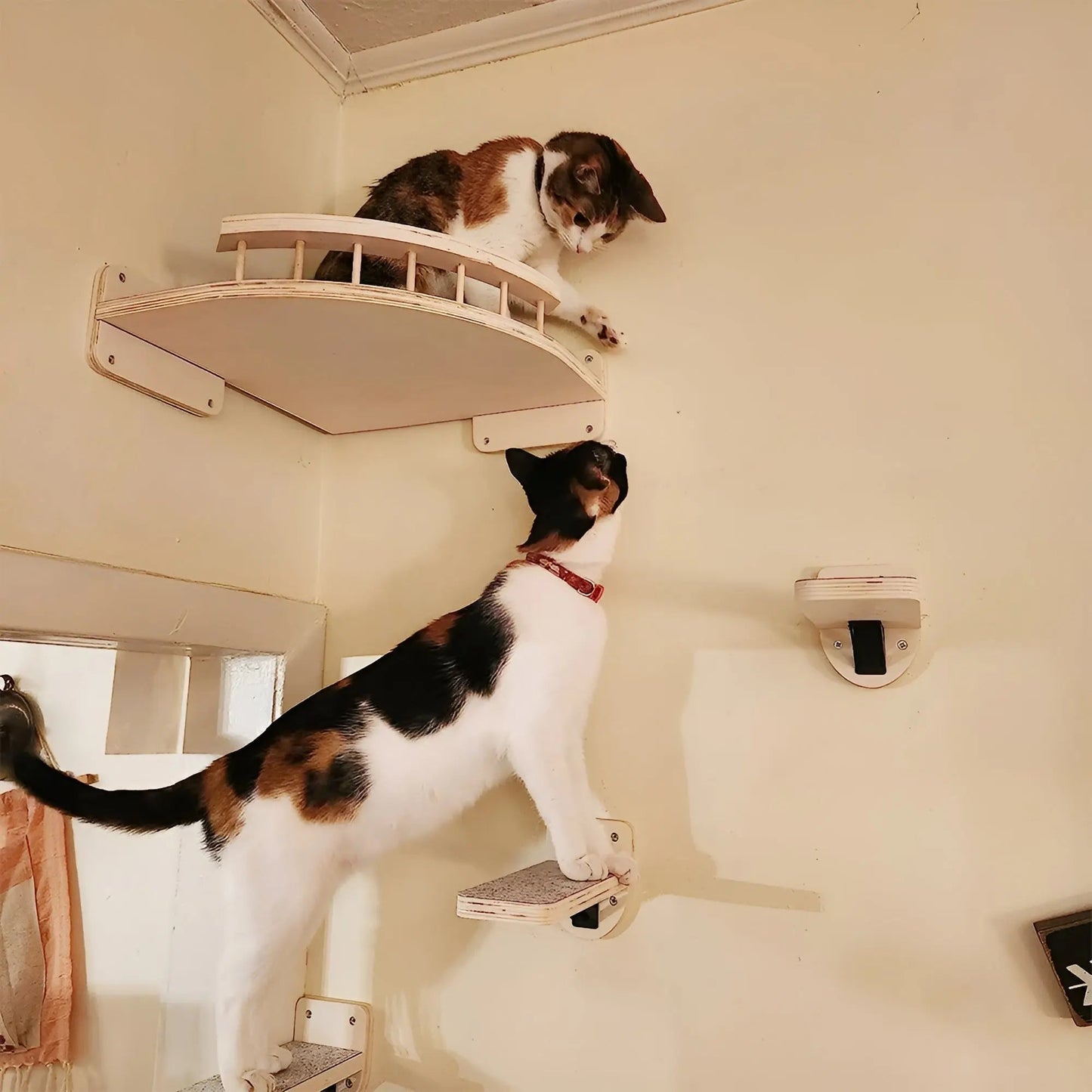 Avelena | Wandkletterbrett für Katzen mit Krallenpad Climbpaws