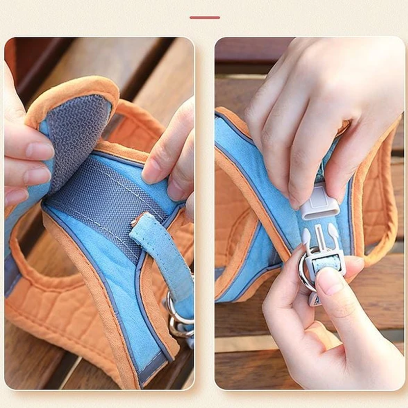 Avelena | Katzenweste Geschirr und Leine Set