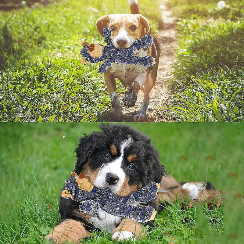 Avelena | Unzerstörbarer Robuster Bär