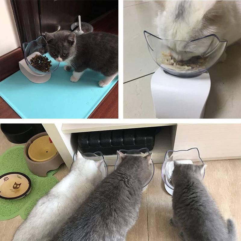 Avelena | Erbrechen Katze Schüssel