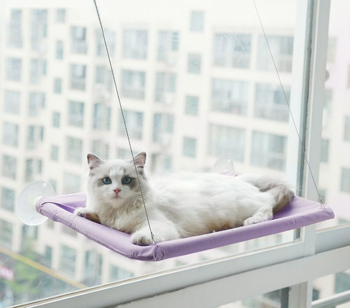 Avelena | Katze Fenster Hängematte