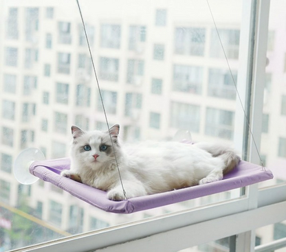 Avelena | Katze Fenster Hängematte