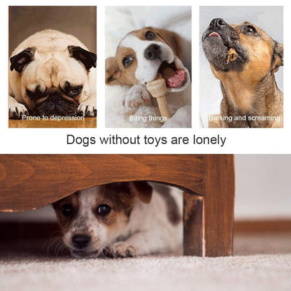 Avelena | Interaktives Futterspielzeug mit Saugnapf