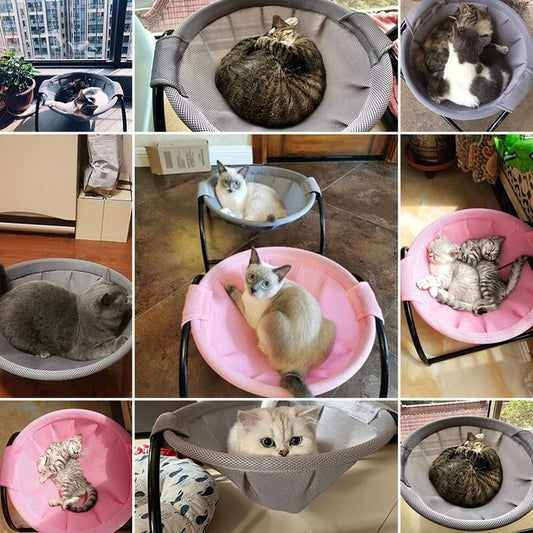 Avelena | Boden Katzenhängematte mit Ständer