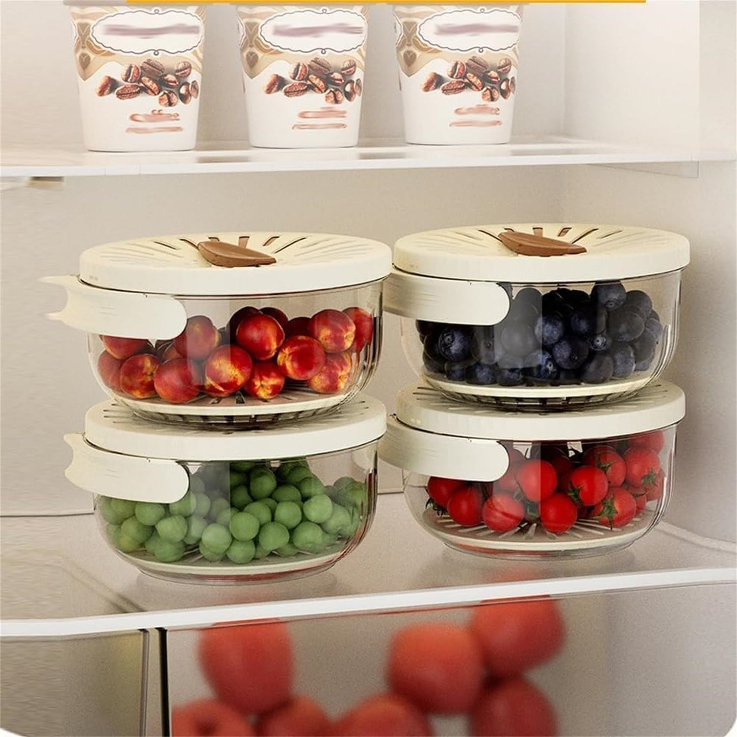 Avelena | Obst und Gemüse Frischhaltedose Freshseal