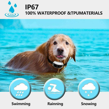 Avelena | Drahtloses Hundezäunhalsband-System | Wasserdicht, wiederaufladbar & ideal für das Training zu Hause und Outdoor-Abenteuer