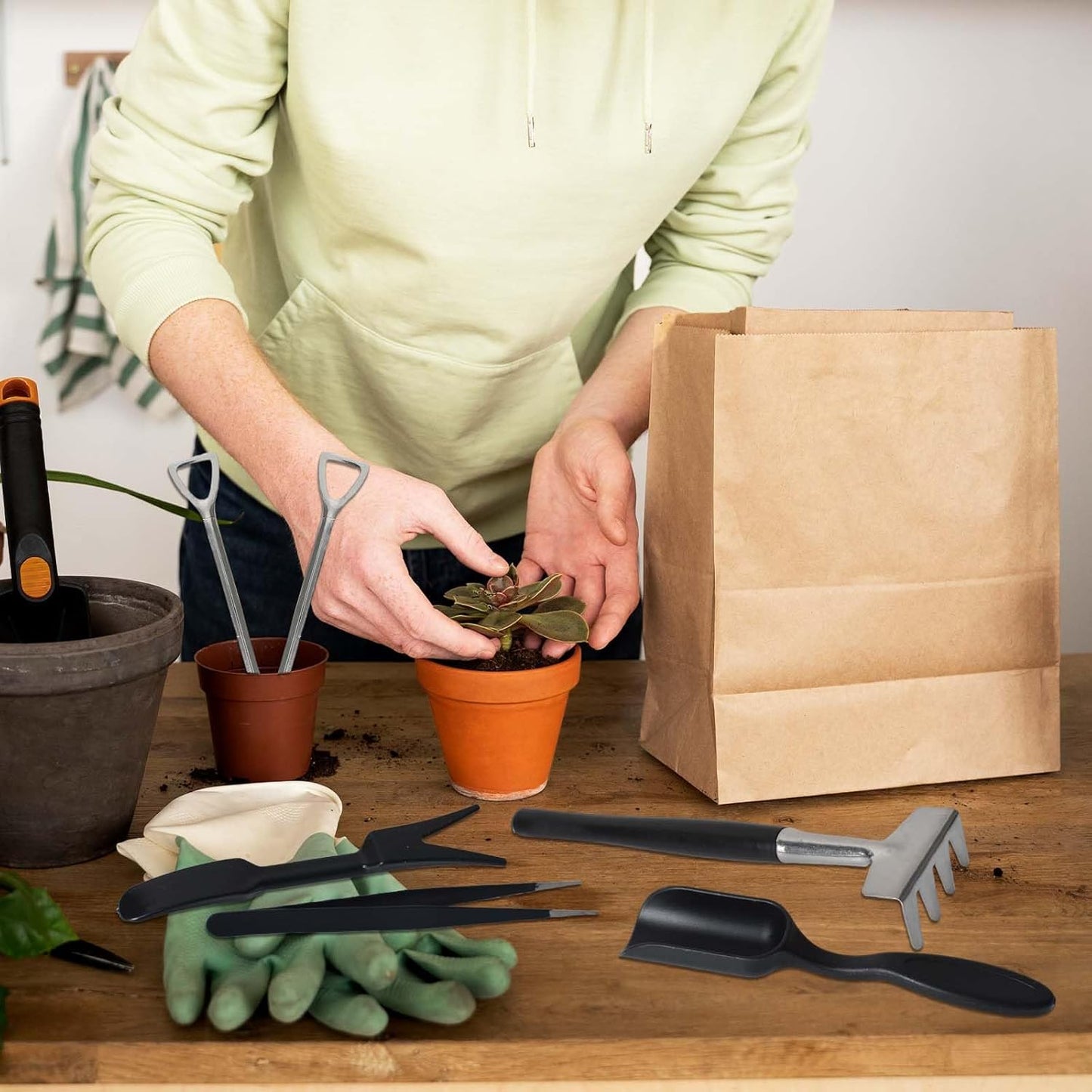 Avelena | 12-in-1 Sukkulententools-Set mit Aufbewahrungstasche für die Innenraumbegrünung