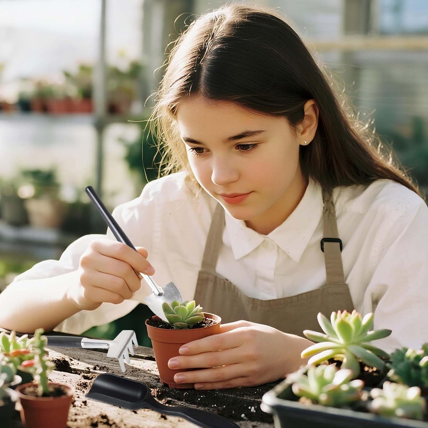 Avelena | 12-in-1 Sukkulententools-Set mit Aufbewahrungstasche für die Innenraumbegrünung