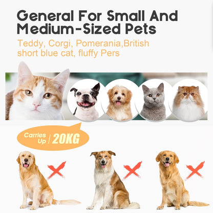 Avelena | Wasserdichter hinterer Fahrradkorb mit regendichtem Überzug – Velora