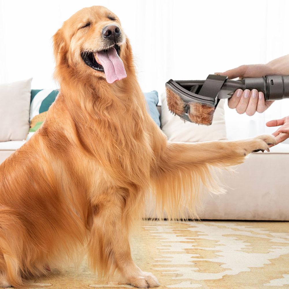 Avelena | DogCatFri Vakuumbürste – Haustierpflege-Vakuumbürstenaufsatz für einfache Haarentfernung