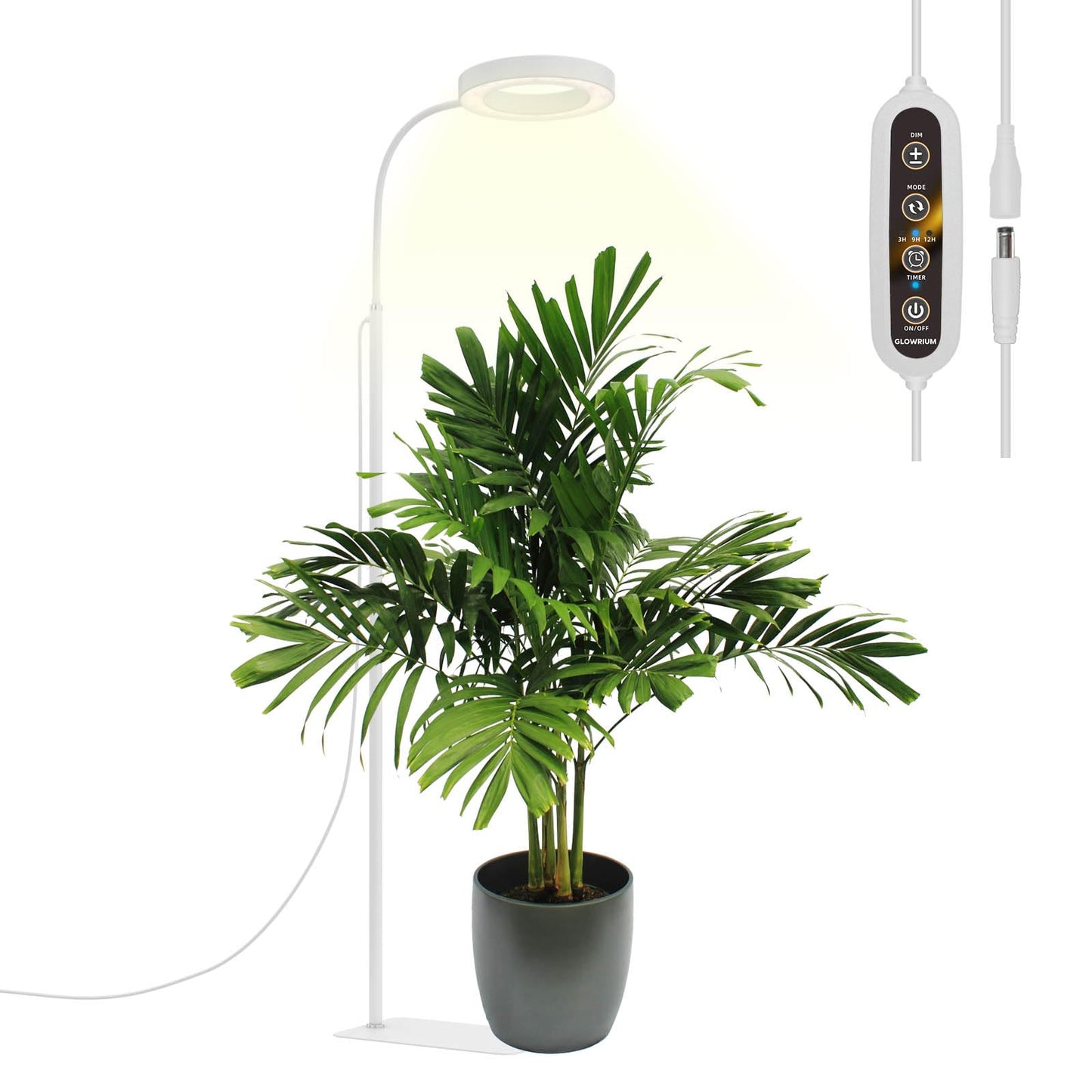 Avelena | Glowrium Wachstumslampe für Zimmerpflanzen, 20W Vollspektrum Led Wachstumslampe Stehlampe mit Stativ, Verstellbare Höhe und Winkel, Schwarzes Pflanzenlicht mit 3/9/12H Timer Weiß