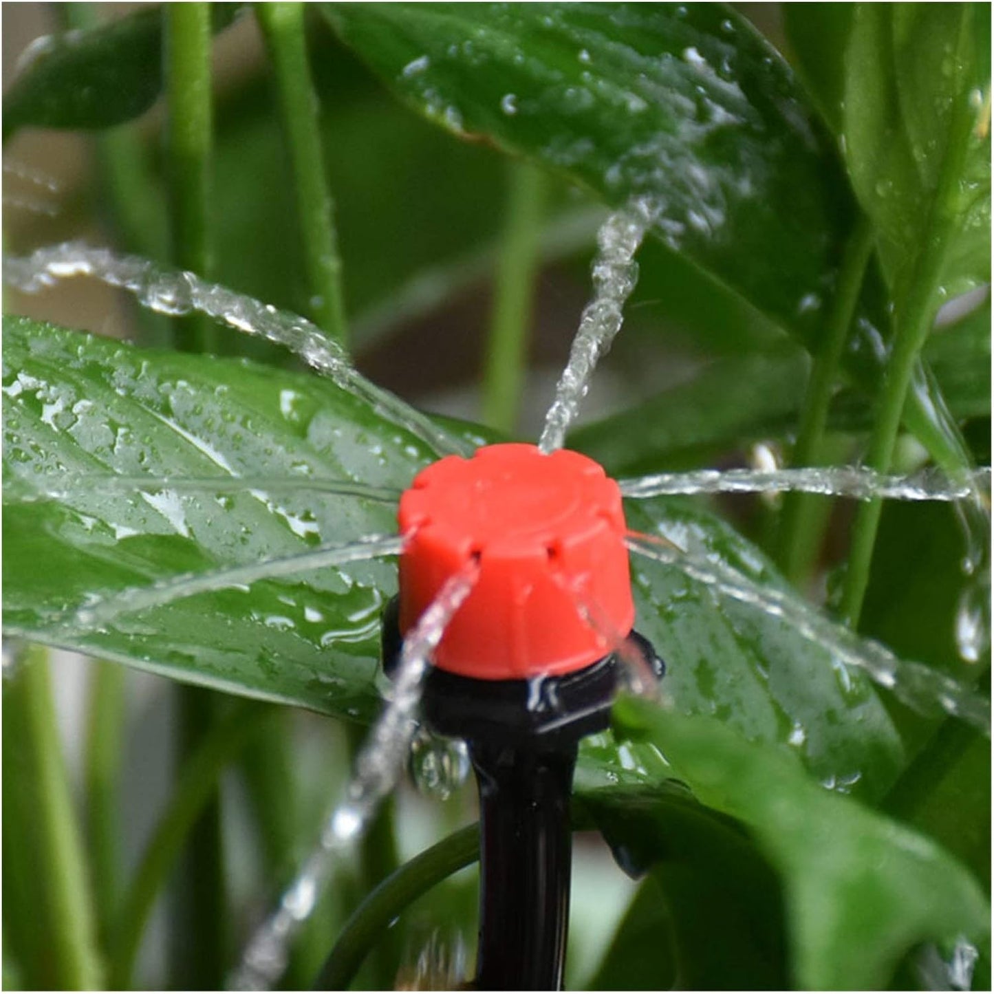 Avelena | Automatisches Tropfbewässerungssystem für Pflanzen – Komplettes Set für Garten und Balkon