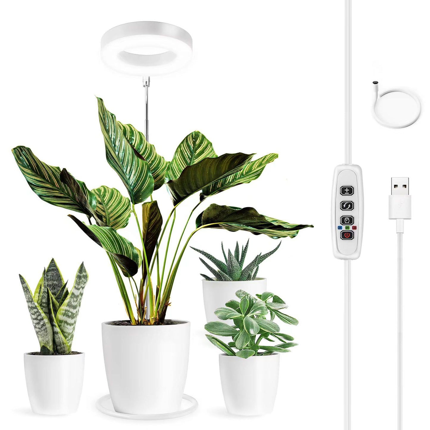 Avelena | Fafagrass Wachstumslicht für Innenpflanzen, Vollspektrum Led Halo Pflanzenlicht mit Stativ Höheneinstellbar Automatischer Timer, 9 Dimmbaren Stufen 3 Farben Rot Blau Weiß Spektrum für Innenpflanzen Wachstum