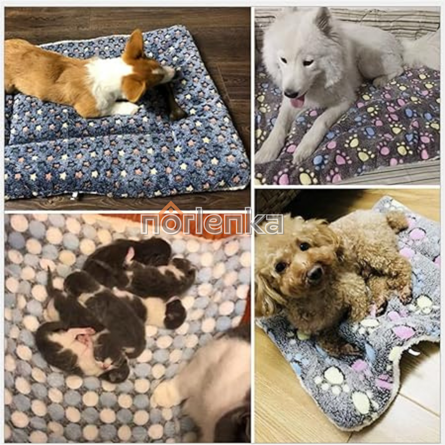 Avelena | Dogcatfrei Haustierdecke Kuscheliges Haustier Komfort Teppich