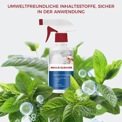 Avelena | Anti-Schimmel-Reinigungsschaum