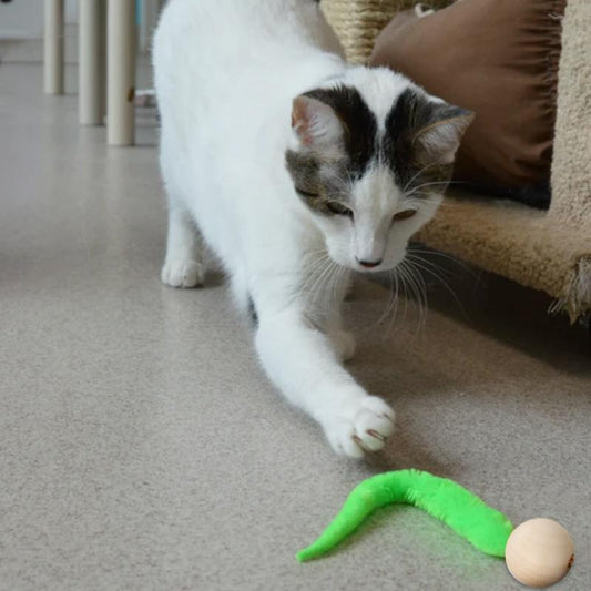 Avelena | Wackelige Katzenspielzeuge mit Glocken