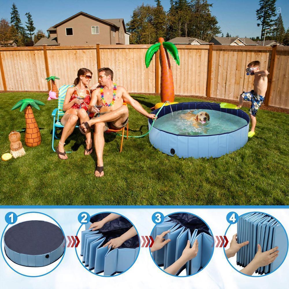 Avelena | Paw Pool
