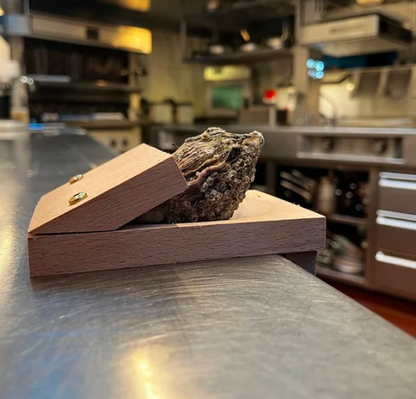 Avelena | Austernöffnungszange