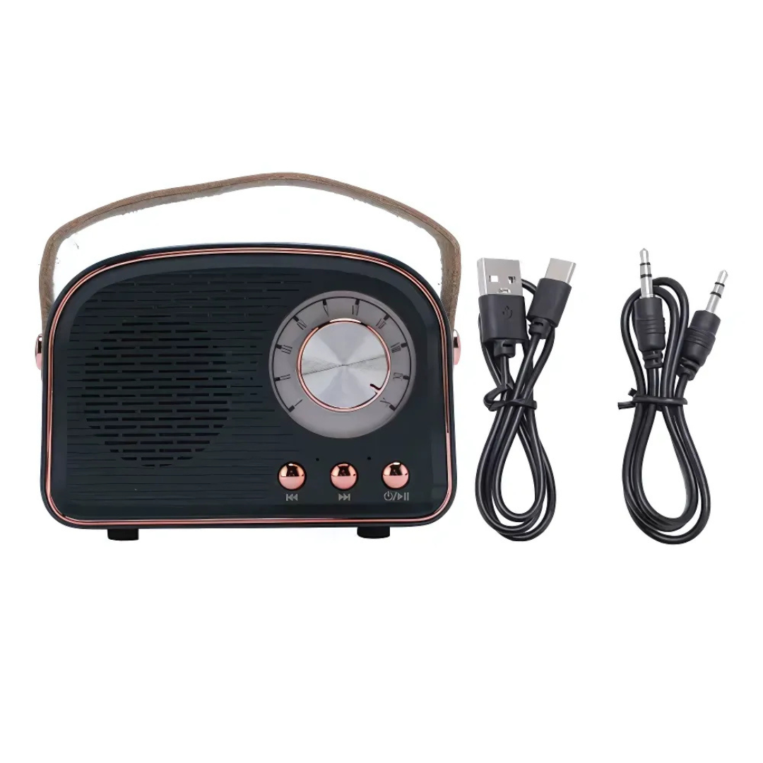 Avelena | SoundJoy | Tragbarer Retro Lautsprecher mit FM Radio