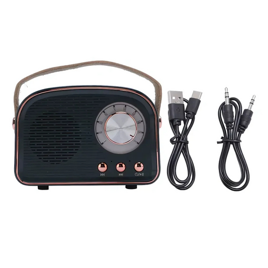 Avelena | SoundJoy | Tragbarer Retro Lautsprecher mit FM Radio