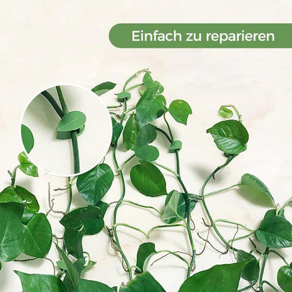 Avelena | Pflanzenkletter-Artefakt-Befestigungsclip