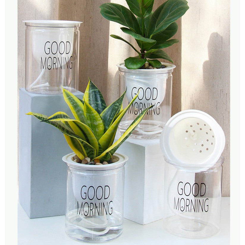 Avelena | Selbstbewässernder Topf für Zimmerpflanzen mit Good Morning Slogan