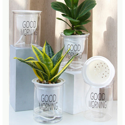 Avelena | Selbstbewässernder Topf für Zimmerpflanzen mit Good Morning Slogan