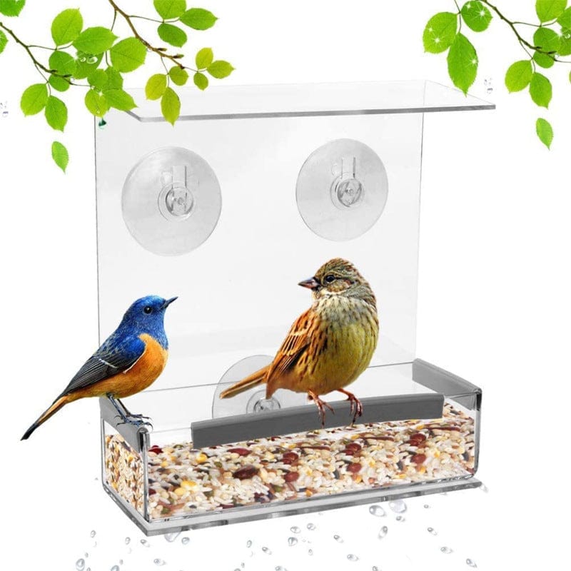 Avelena | Fenster Vogelfutterspender