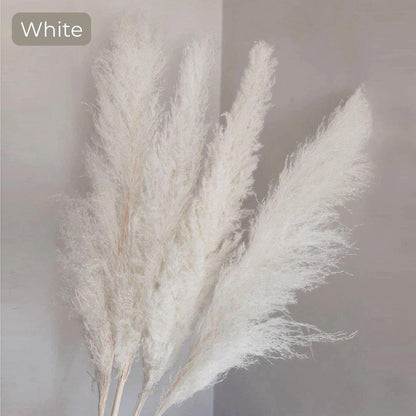Avelena | 80 cm natürlicher, echter getrockneter Pampasgrasstrauß (weiß / beige / grau) │ flauschige Feder für moderne Boho-Heimdekoration