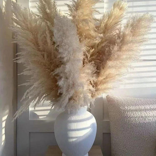 Avelena | 80 cm natürlicher, echter getrockneter Pampasgrasstrauß (weiß / beige / grau) │ flauschige Feder für moderne Boho-Heimdekoration