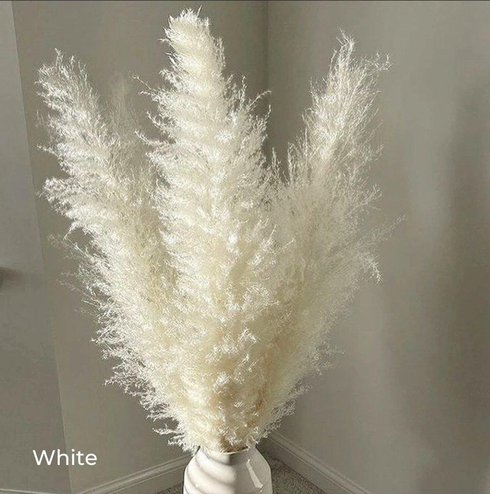 Avelena | 80 cm natürlicher, echter getrockneter Pampasgrasstrauß (weiß / beige / grau) │ flauschige Feder für moderne Boho-Heimdekoration