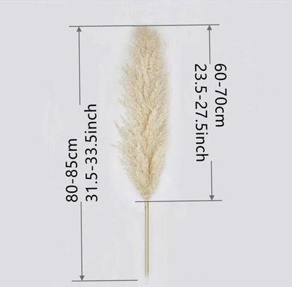 Avelena | 80 cm natürlicher, echter getrockneter Pampasgrasstrauß (weiß / beige / grau) │ flauschige Feder für moderne Boho-Heimdekoration