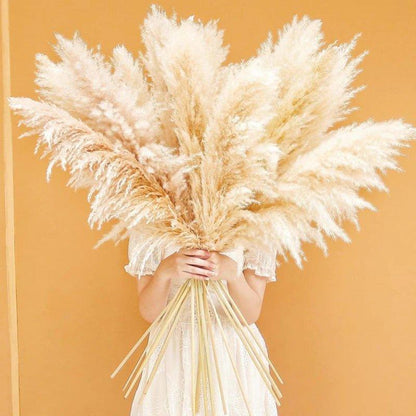 Avelena | 80 cm natürlicher, echter getrockneter Pampasgrasstrauß (weiß / beige / grau) │ flauschige Feder für moderne Boho-Heimdekoration