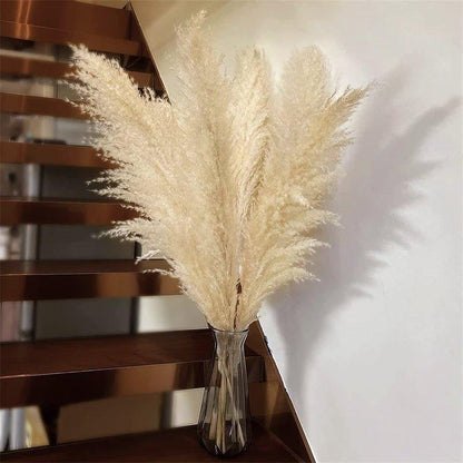 Avelena | 80 cm natürlicher, echter getrockneter Pampasgrasstrauß (weiß / beige / grau) │ flauschige Feder für moderne Boho-Heimdekoration