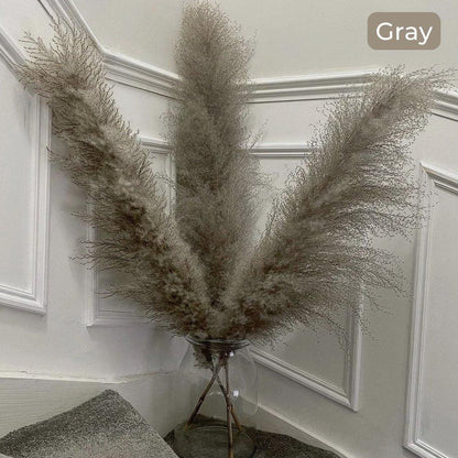 Avelena | 80 cm natürlicher, echter getrockneter Pampasgrasstrauß (weiß / beige / grau) │ flauschige Feder für moderne Boho-Heimdekoration