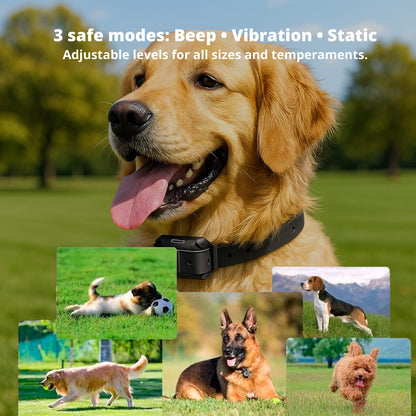 Avelena | 800M wiederaufladbares elektronisches Hundetraining-Halsband | wasserdicht, Fernbedienung & ideal für effektives Hundetraining