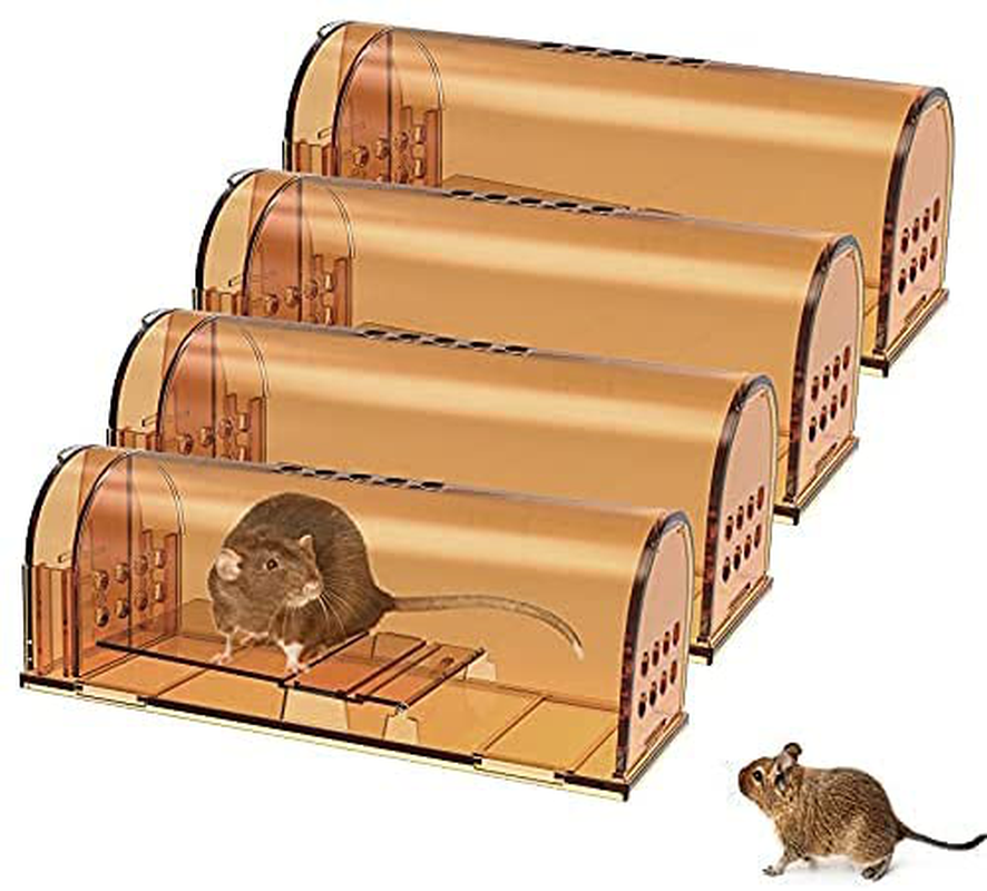 Avelena | 4Er-Pack Humane Mäusefallen Keine Toten, Lebendige Falle, Wiederverwendbare Falle Für Haus Und Außenbereich