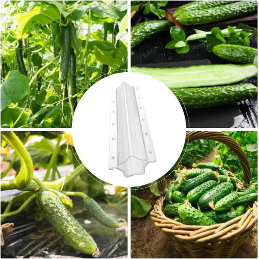 Avelena | Sternform Gemüseform für Gurken – Kreative Formschiene für Obst und Gemüse