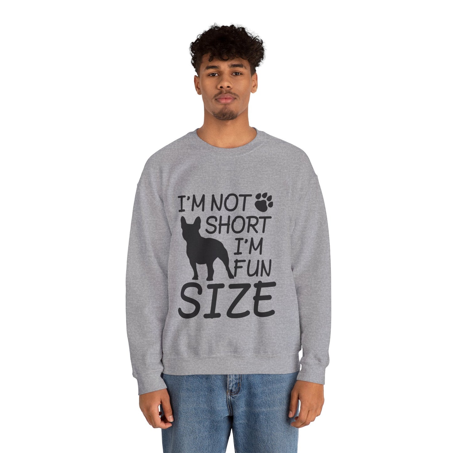 Avelena | Streifen Unisex Sweatshirt Für Boston Terrier Liebhaber