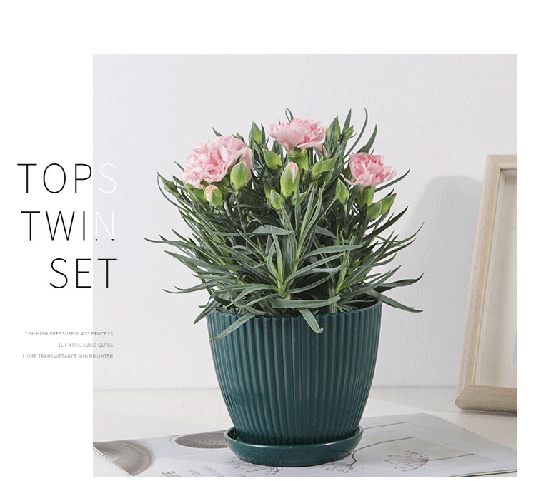 Avelena | Blumentopf mit Rillenstruktur und Untersetzer – Stabiler Kunststofftopf für Pflanzen