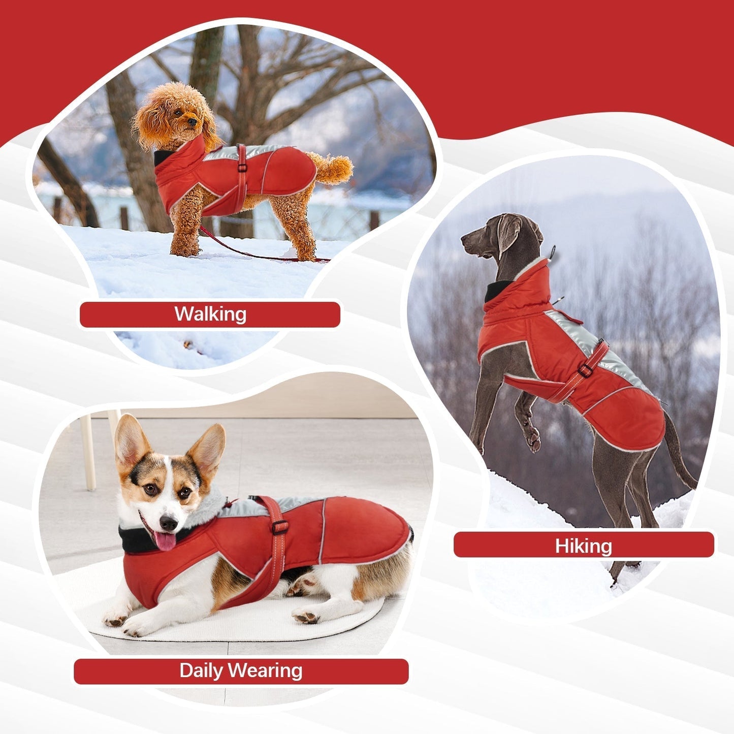 Avelena | Reflektierende Hundeweste für Winter Sicher und Warm