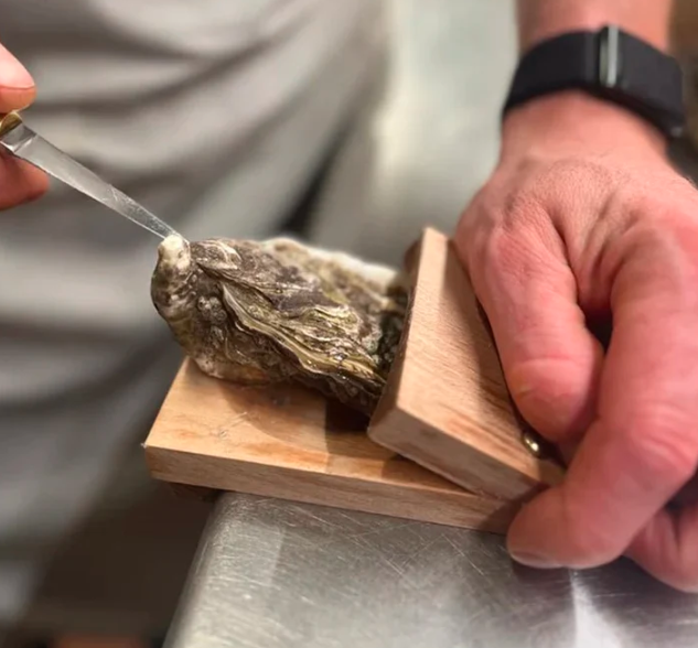 Avelena | Austernöffnungszange